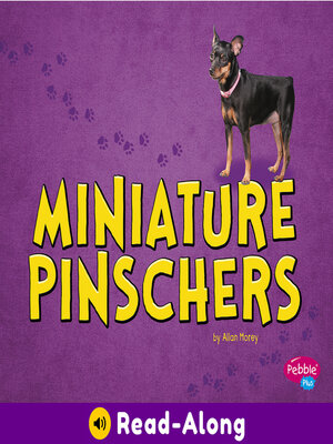 cover image of Miniature Pinschers